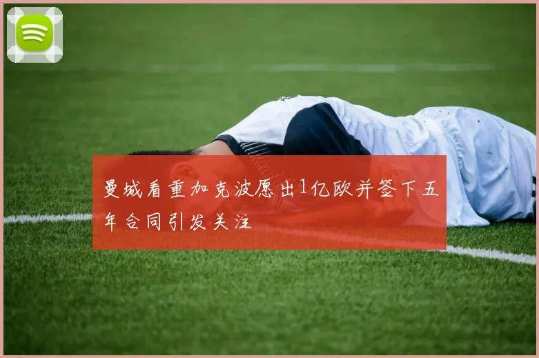 曼城看重加克波愿出1亿欧并签下五年合同引发关注